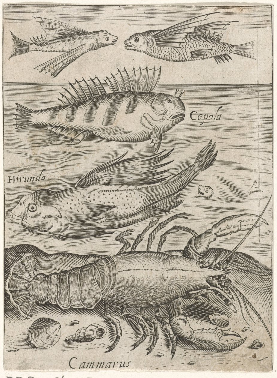 Studieblad med fyra fiskar och en hummer Piscium vivae-ikoner (serietitel) av Monogrammist P+P