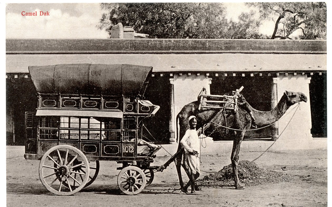 Camel Dak, ca 1911-12 (sepiafoto) av Moorli Dhur and Sons
