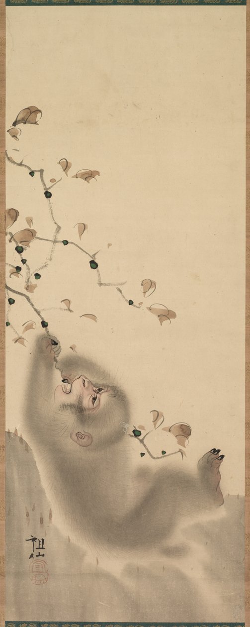 Monkey som hänger på en gren, 1780. av Mori Sosen