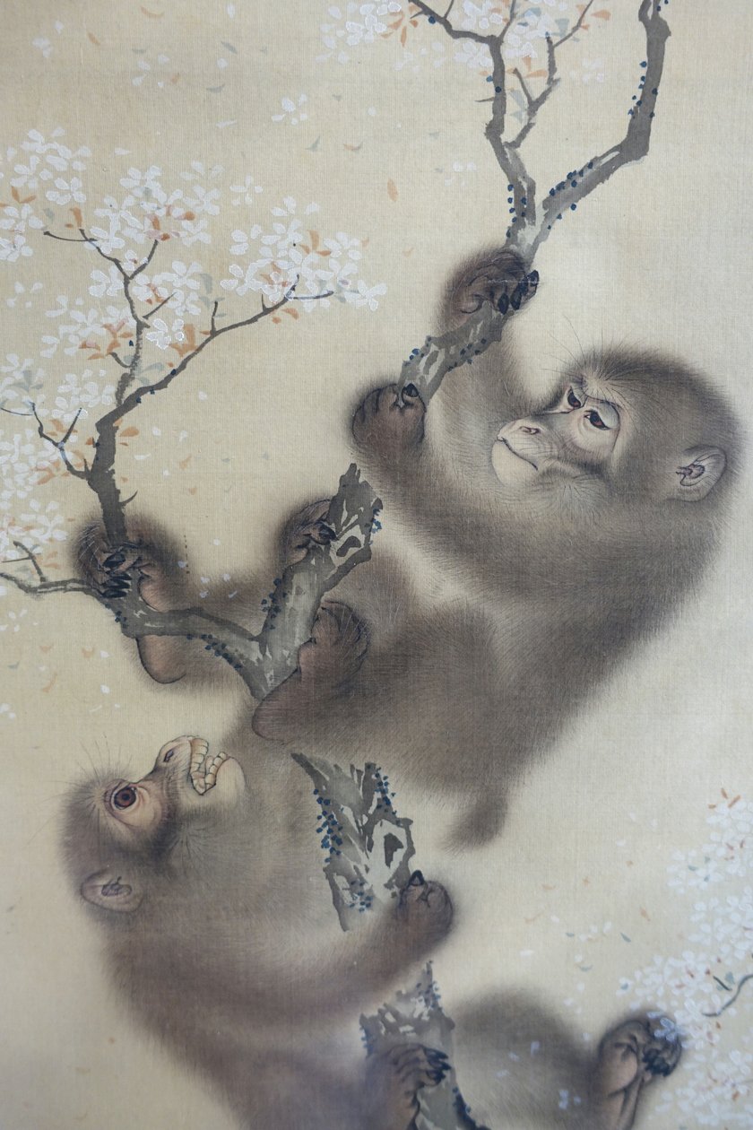 Apor i ett blommande körsbärsträd, 1 av 2, Mori Sosen, Japan, Edo-perioden, tidigt 1800-tal, bläck och färg på siden - Arthur M. Sackler Museum, Harvard University - DSC01127 av Mori Sosen