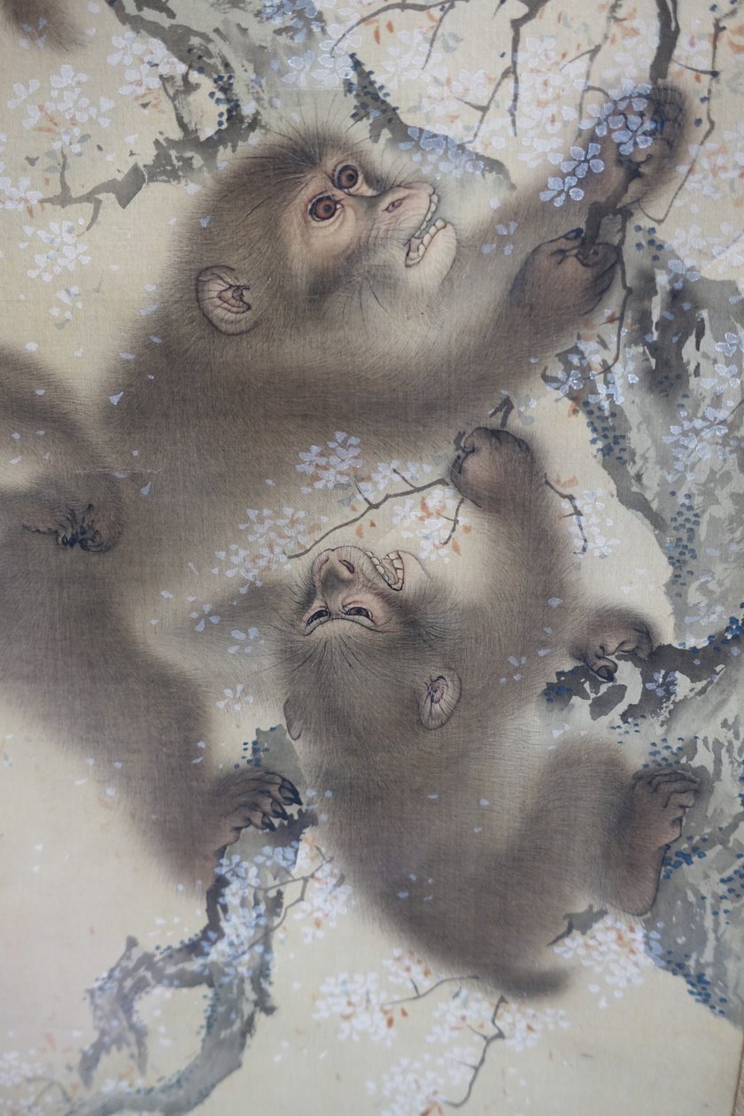 Apor i ett blommande körsbärsträd, 2 av 2, Mori Sosen, Japan, Edo-perioden, tidigt 1800-tal, bläck och färg på siden - Arthur M. Sackler Museum, Harvard University - DSC01128 av Mori Sosen