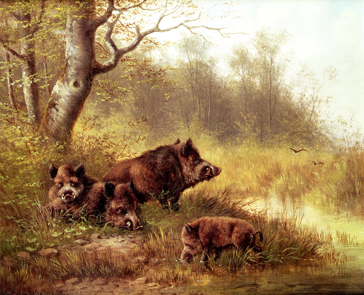 Vildsvin i Schwarzwald, 1880 av Moritz Muller