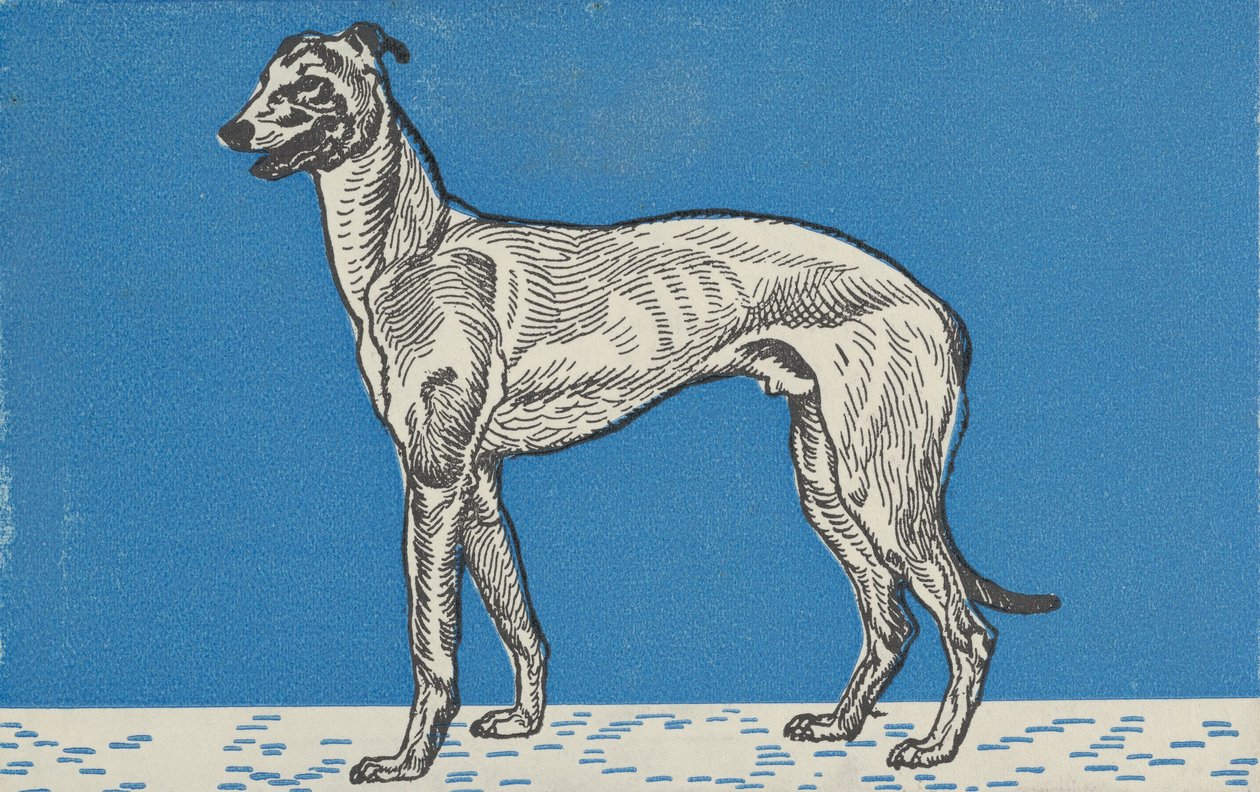 Vinthund, 1912. av Moritz Jung