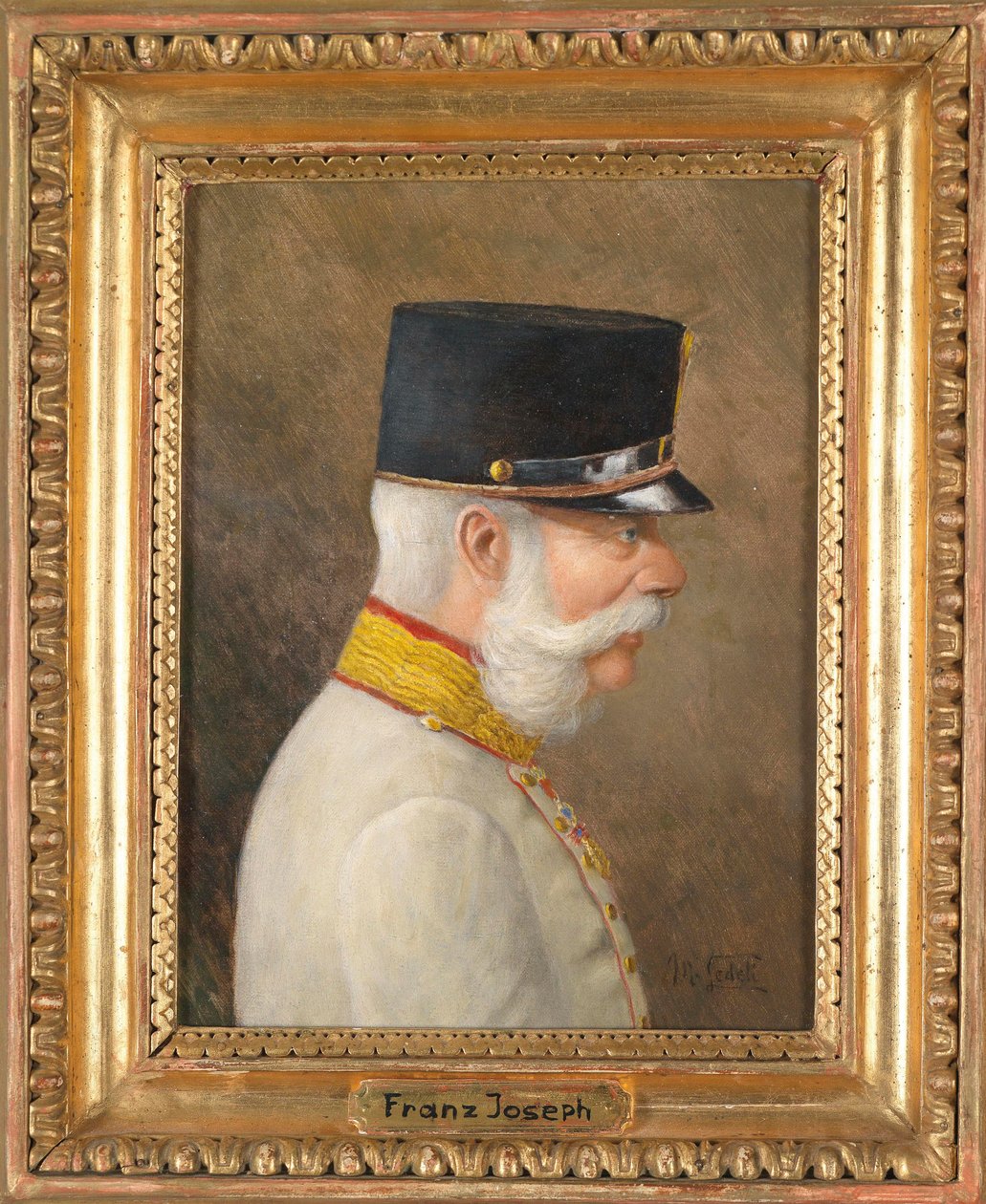 Porträtt av Franz Joseph I av Österrike av Moritz Ledeli