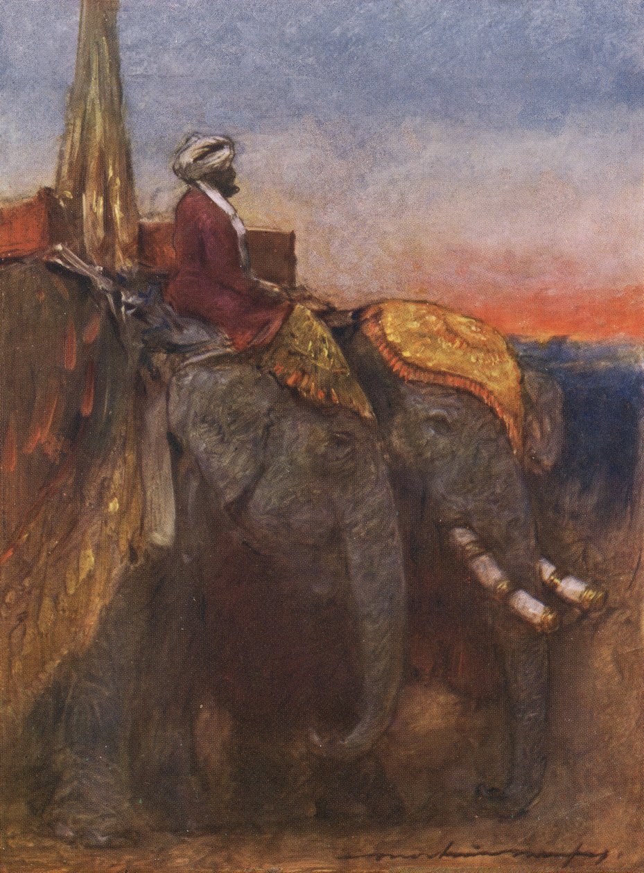Jaipur elefantswed av Mortimer Ludington Menpes