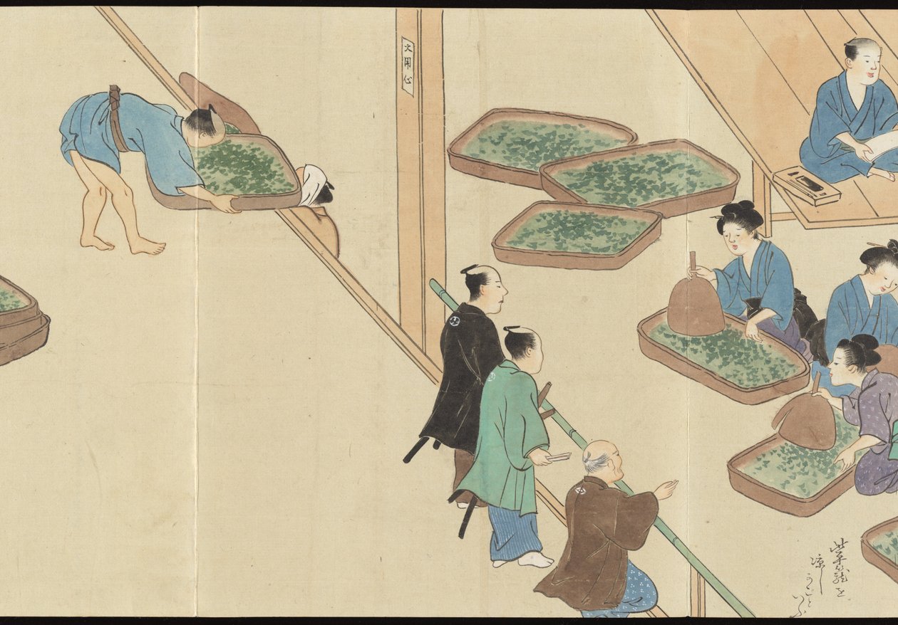 Illustrationer av teproduktionen i Uji av Motonari Sait?