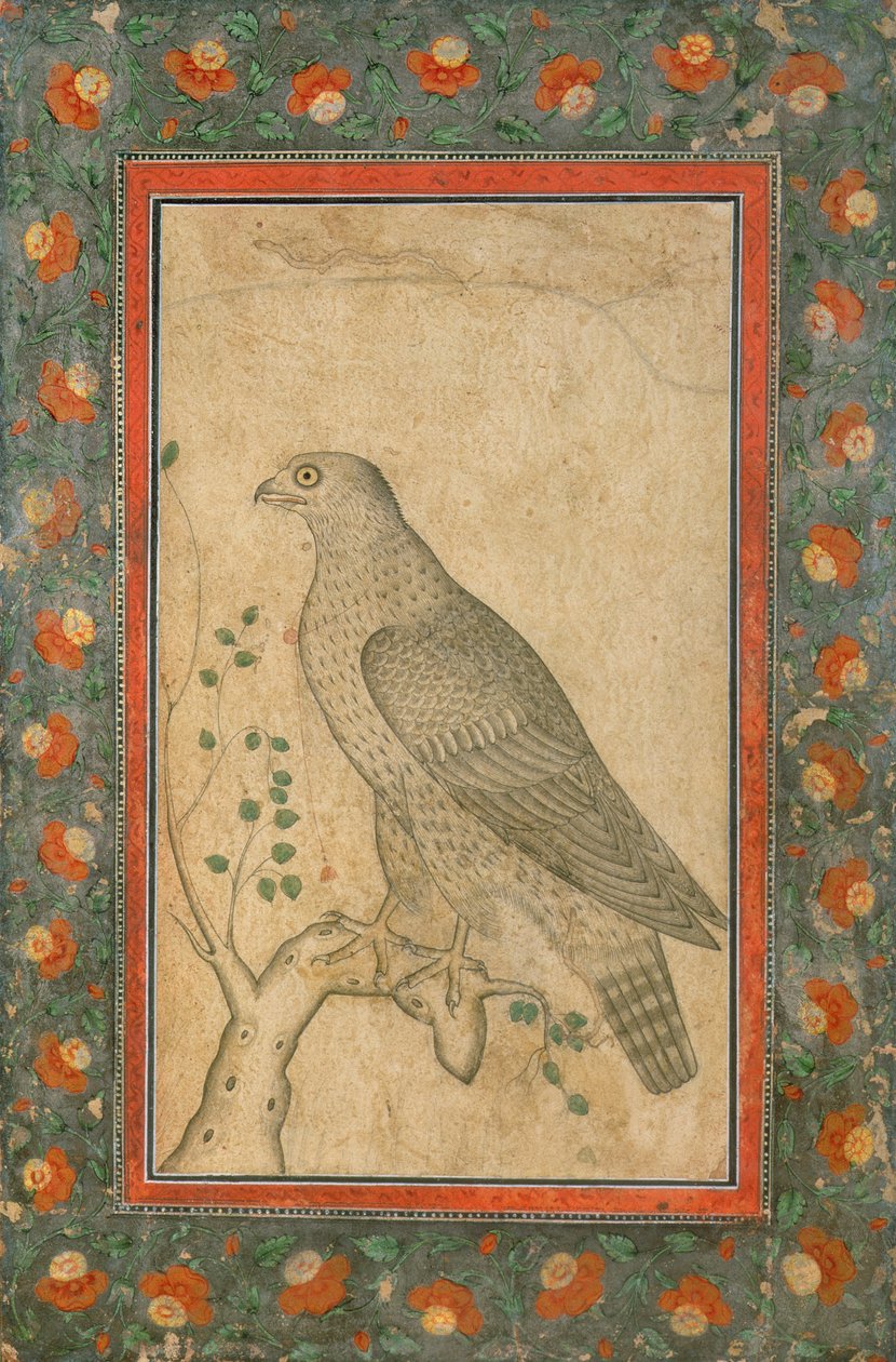 Falk uppflugen på en lummig stubbe, ca 1650 av Mughal School