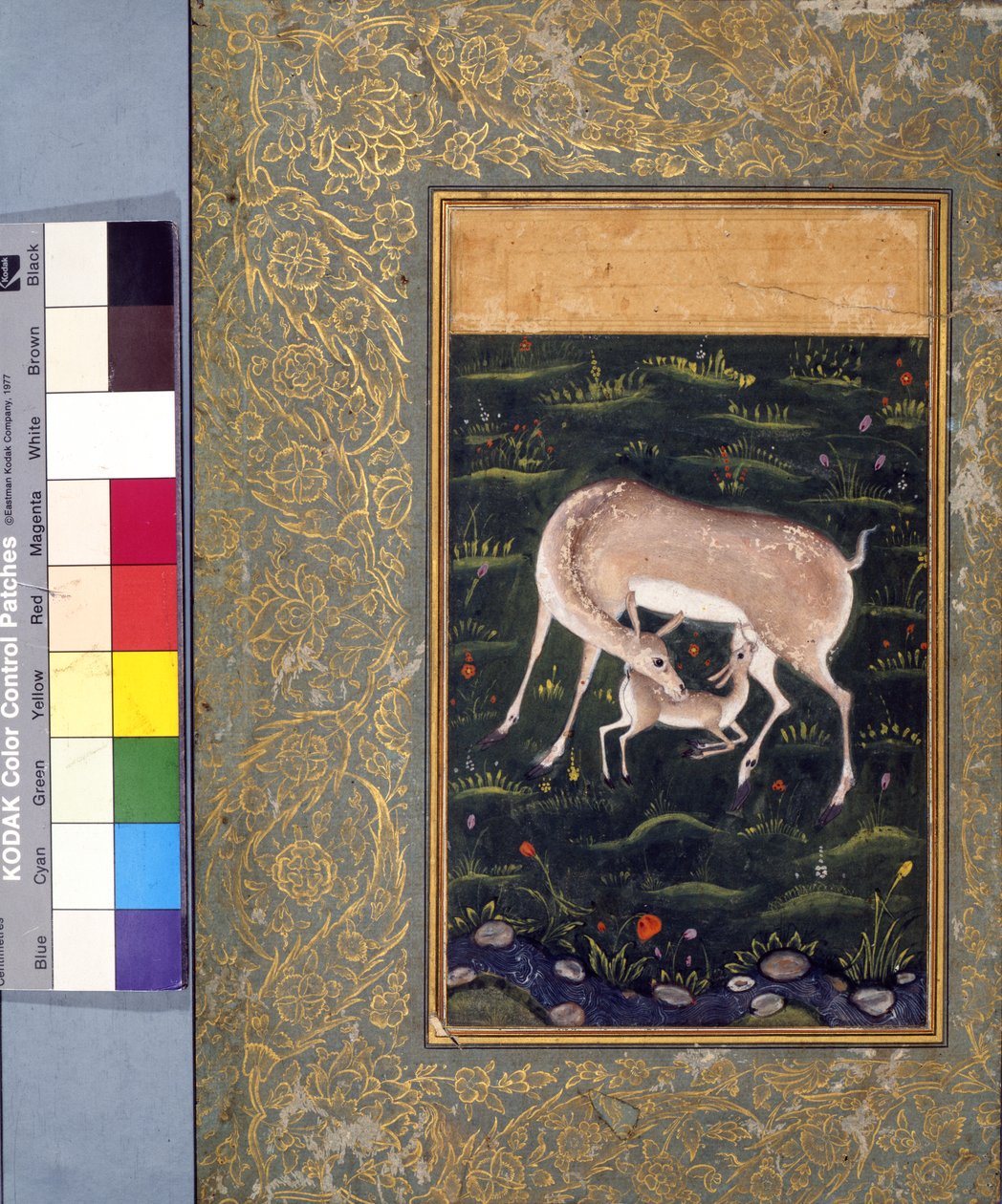 En do som ammar sin fawn, ca 1560 (ogenomskinlig akvarell och guld på papper) [se även 6040456] av Mughal School