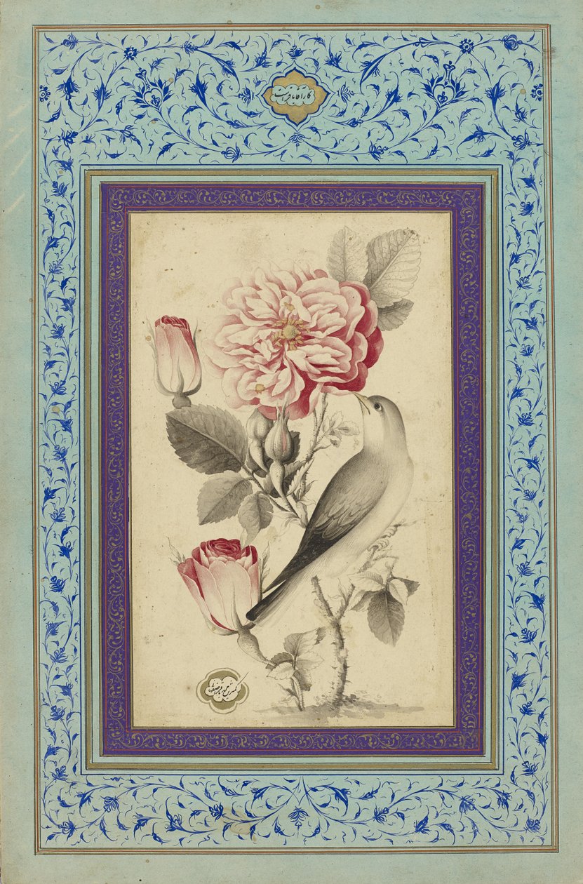 Rosor och näktergal, sent 1700-tal (bläck & färg på papper) av Muhammad Baqir