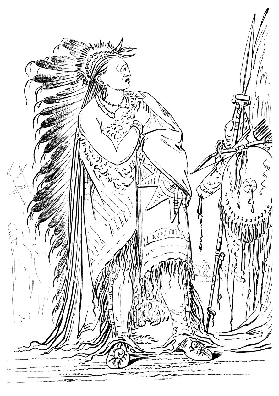Två kråkor, indianhane av Minataree-stammen, 1841. av Myers and Co