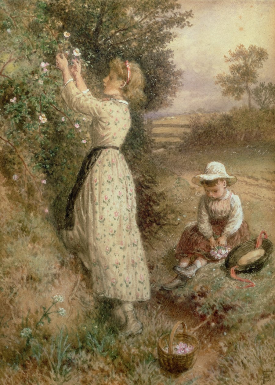 Vilda rosor av Myles Birket Foster