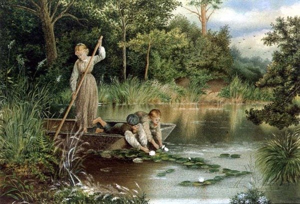 Samla liljor av Myles Birket (after) Foster