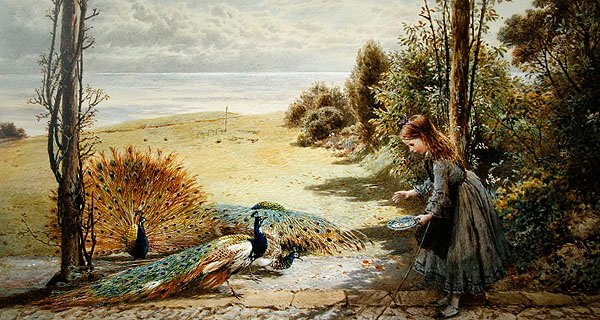 Påfåglar (akvarell på papper) av Myles Birket Foster