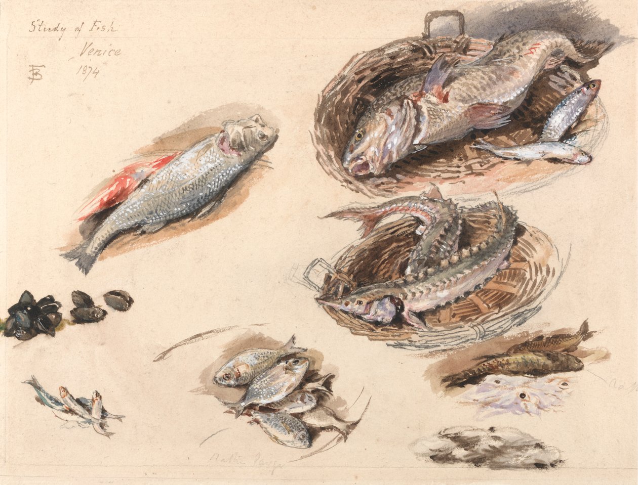 Studie av fisk, Venedig av Myles Birket Foster