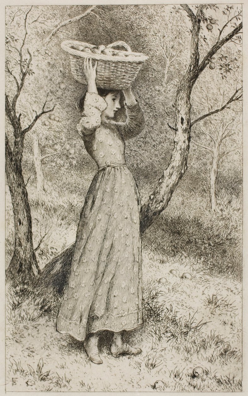 Ung flicka i en fruktträdgård med en fruktkorg av Myles Birket Foster