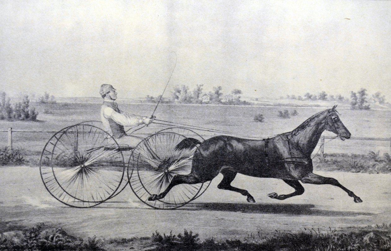 Currier & Ives Illustration 1800-talet. Flora tempel av N. and Ives, J.M. Currier