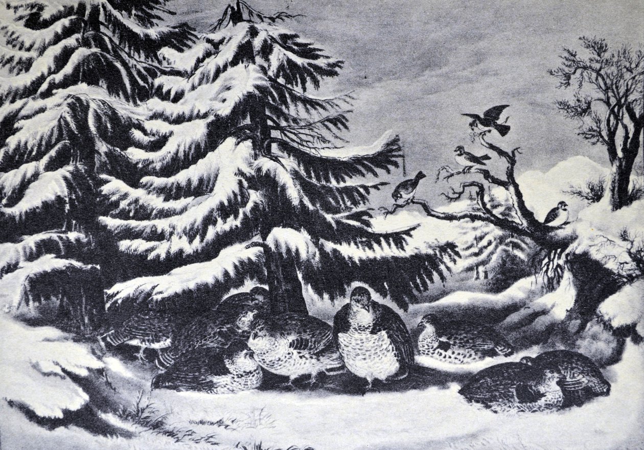Currier & Ives Illustration 19:e århundradet. Snöad, ruggad lund på vintern av N. and Ives, J.M. Currier