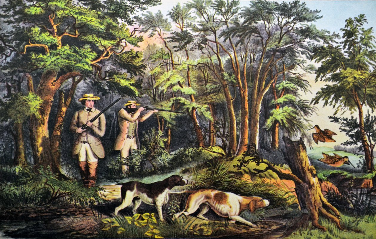 Woodcock Shooting av N. and Ives, J.M. Currier