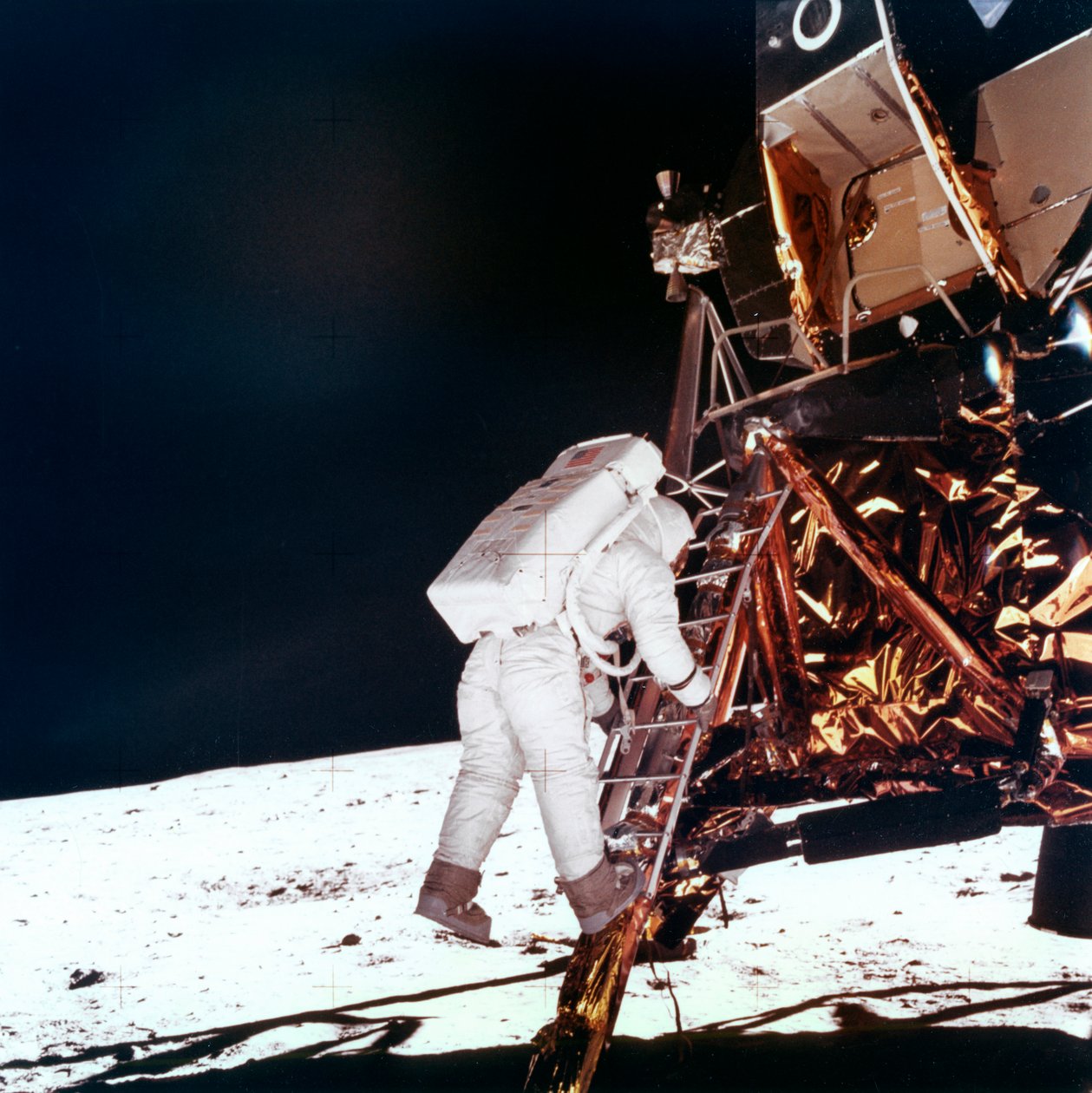 Edwin Buzz Aldrin går ner för stegen på Lunar Module-stegen för att gå på månen, 1969. av NASA Images