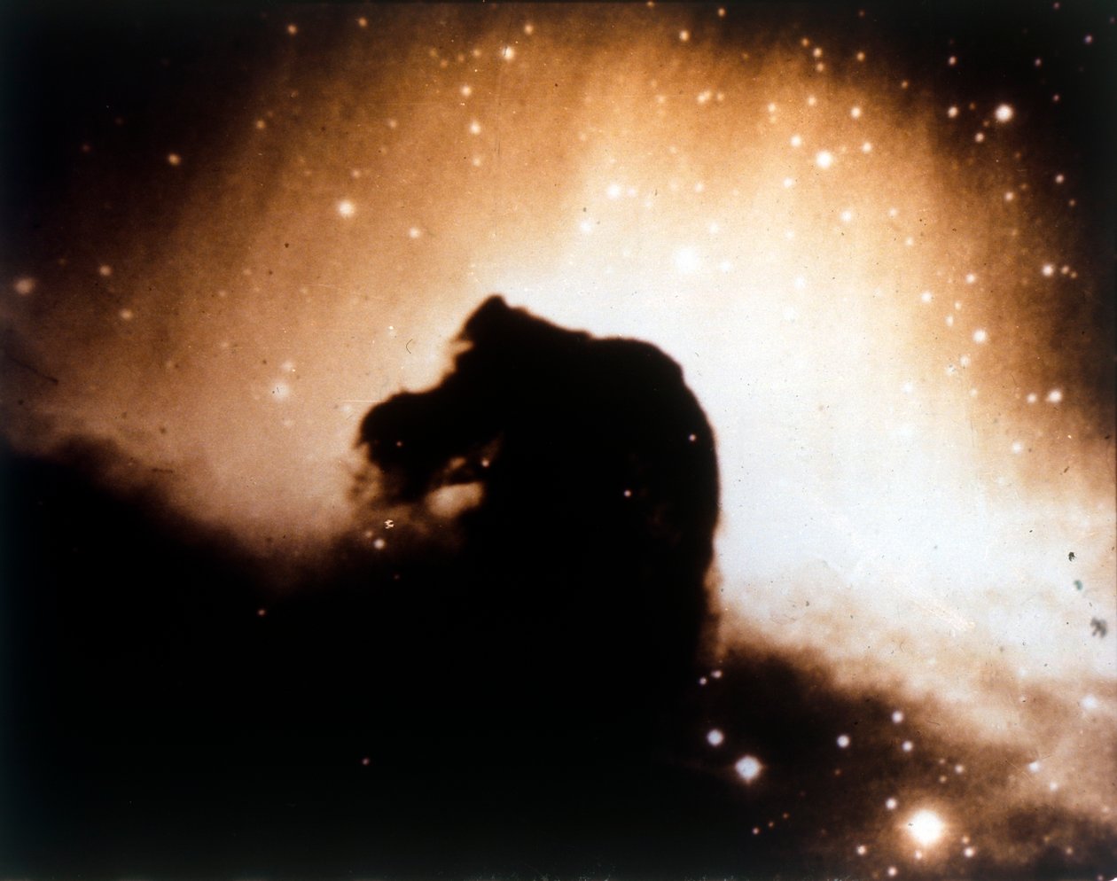 Hästhuvudnebulosa i Orion. av NASA Images
