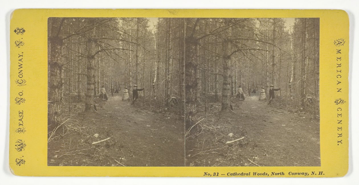 Cathedral Woods, North Conway, N.H., mitten av 1800-talet. av N.W. Pease
