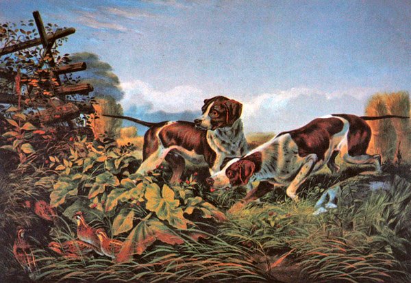 American Field Sports: On a Point av Currier and Ives