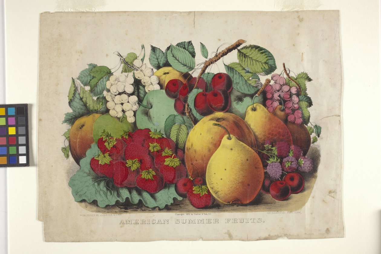 American Summer Fruit (handfärgad litografi) av N. and Ives J.M. (1824 95) Currier