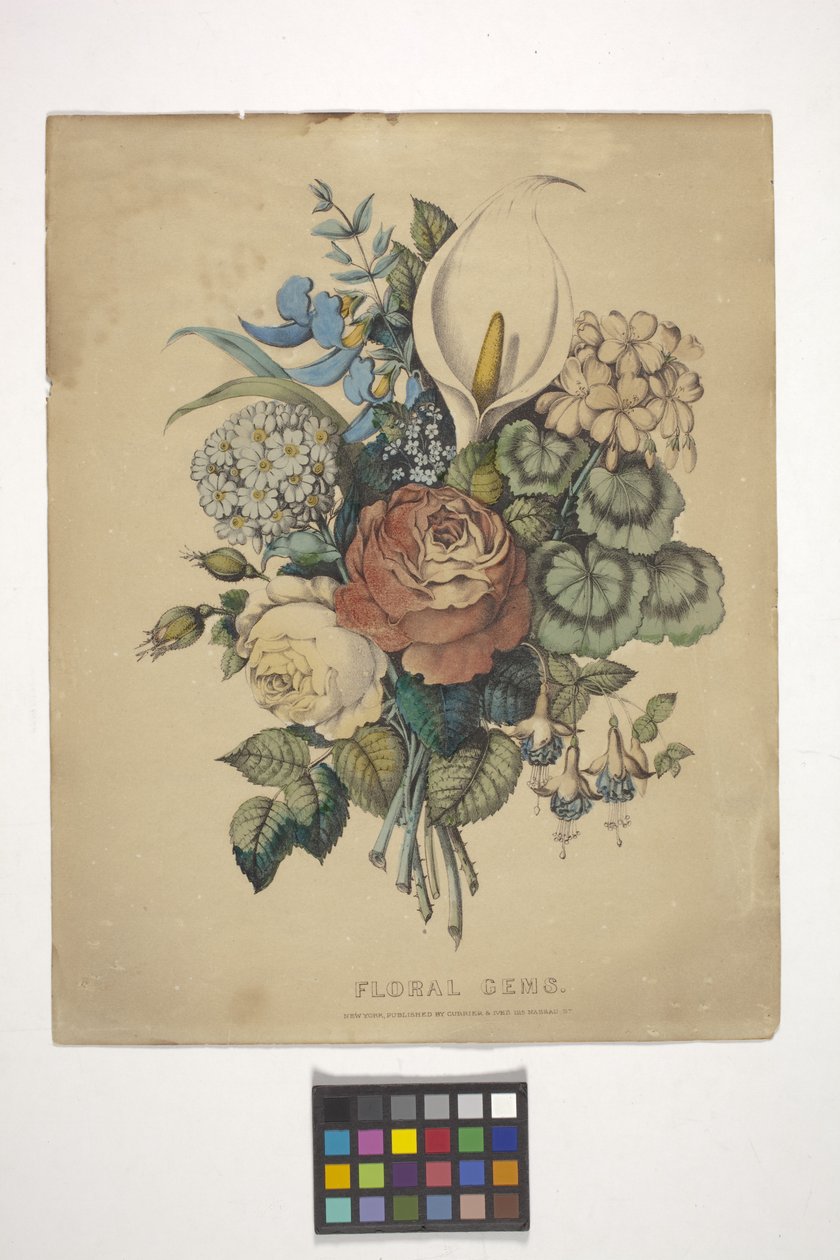 Blommiga ädelstenar (handfärgad litografi) av N. and Ives J.M. (1824 95) Currier
