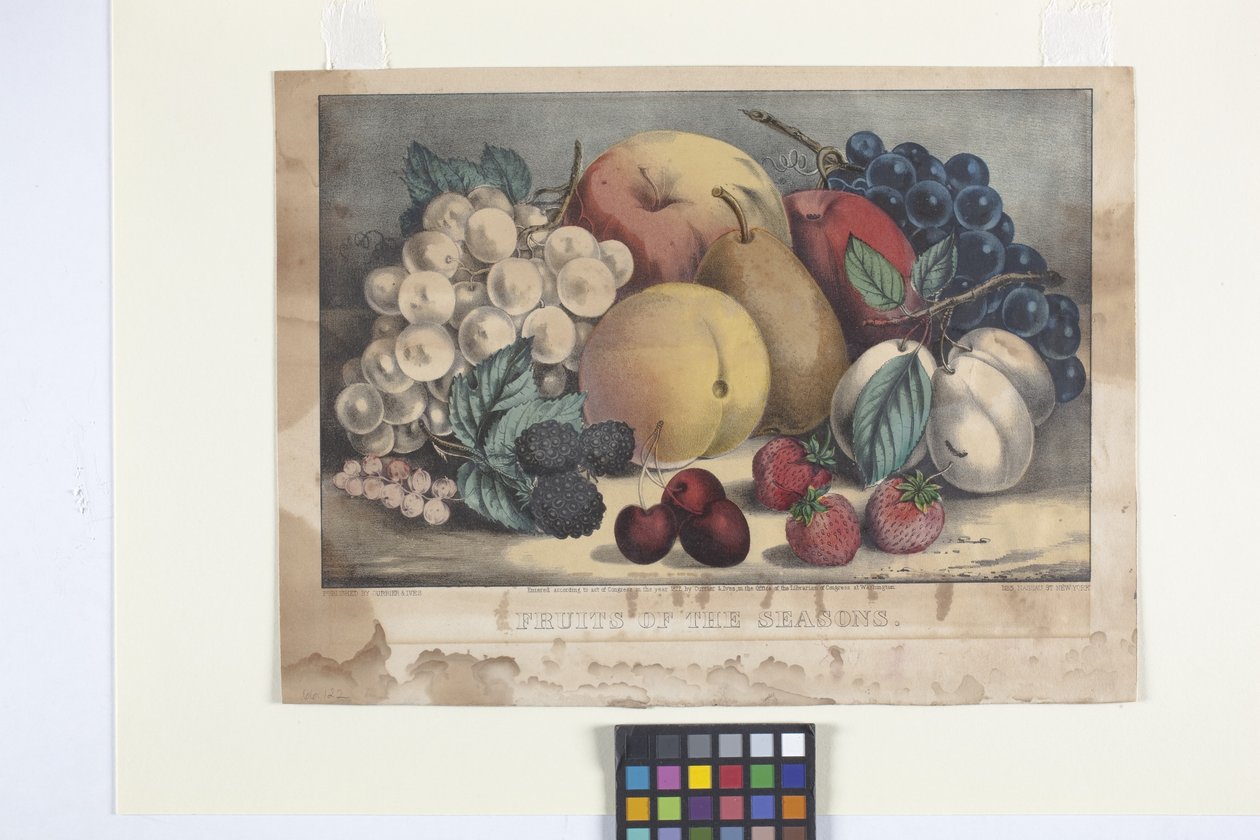 Frukter av säsongen (handfärgad litografi) av N. and Ives J.M. (1824 95) Currier