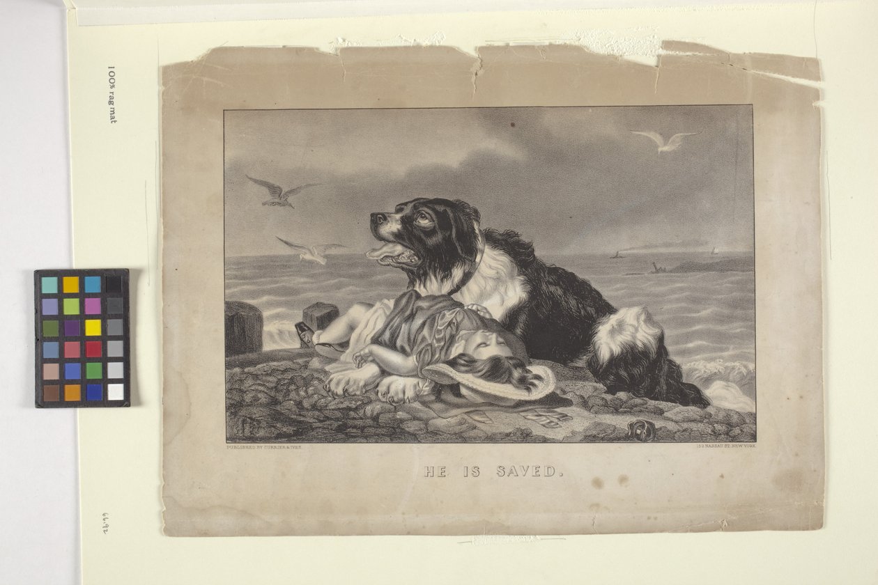 Han är räddad (handfärgad litografi) av N. and Ives J.M. (1824 95) Currier