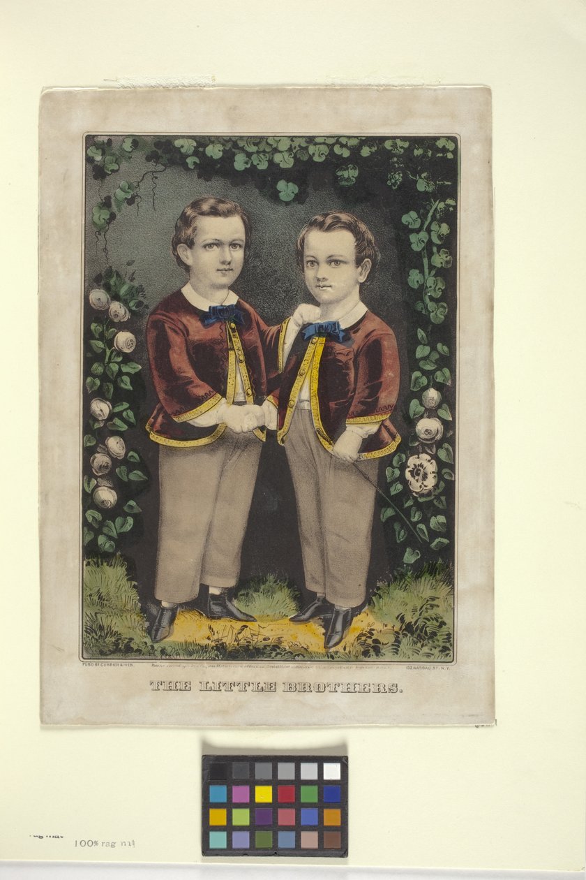 Little Brothers (handfärgad litografi) av N. and Ives J.M. (1824 95) Currier