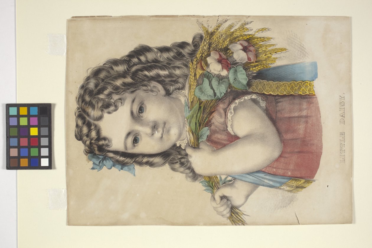 Little Daisy (handfärgad litografi) av N. and Ives J.M. (1824 95) Currier