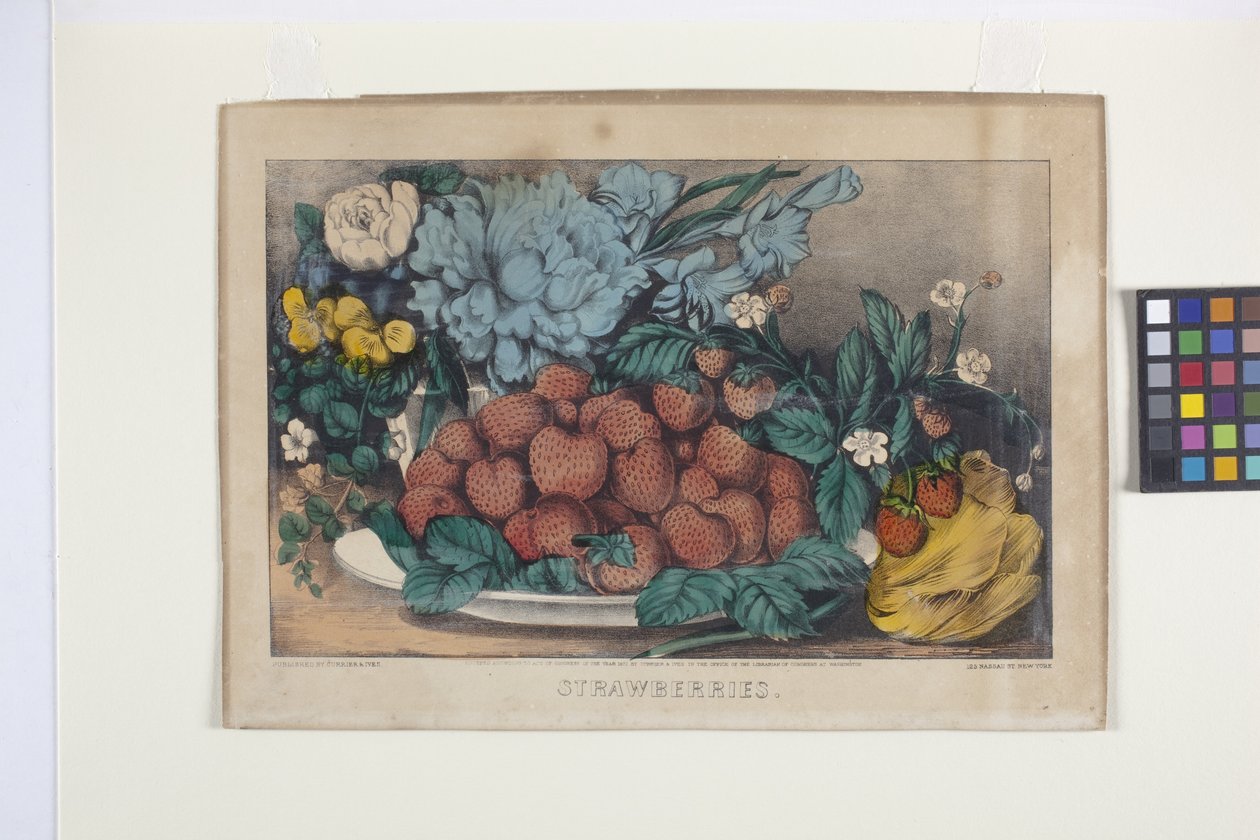 Jordgubbar (handfärgad litografi) av N. and Ives J.M. (1824 95) Currier
