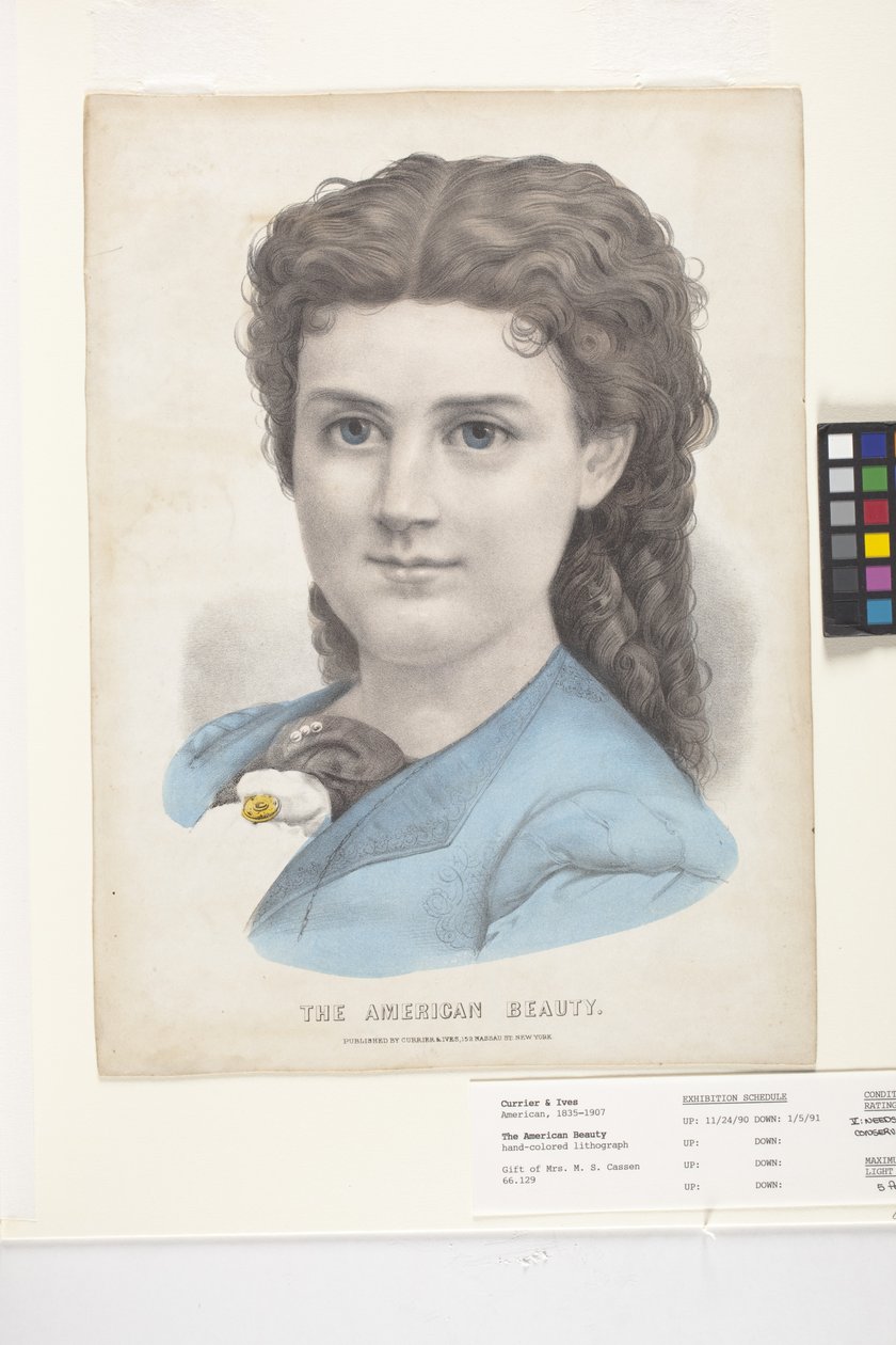 The American Beauty (手描きのリトグラフ)スウェーデン語 av N. and Ives J.M. (1824 95) Currier