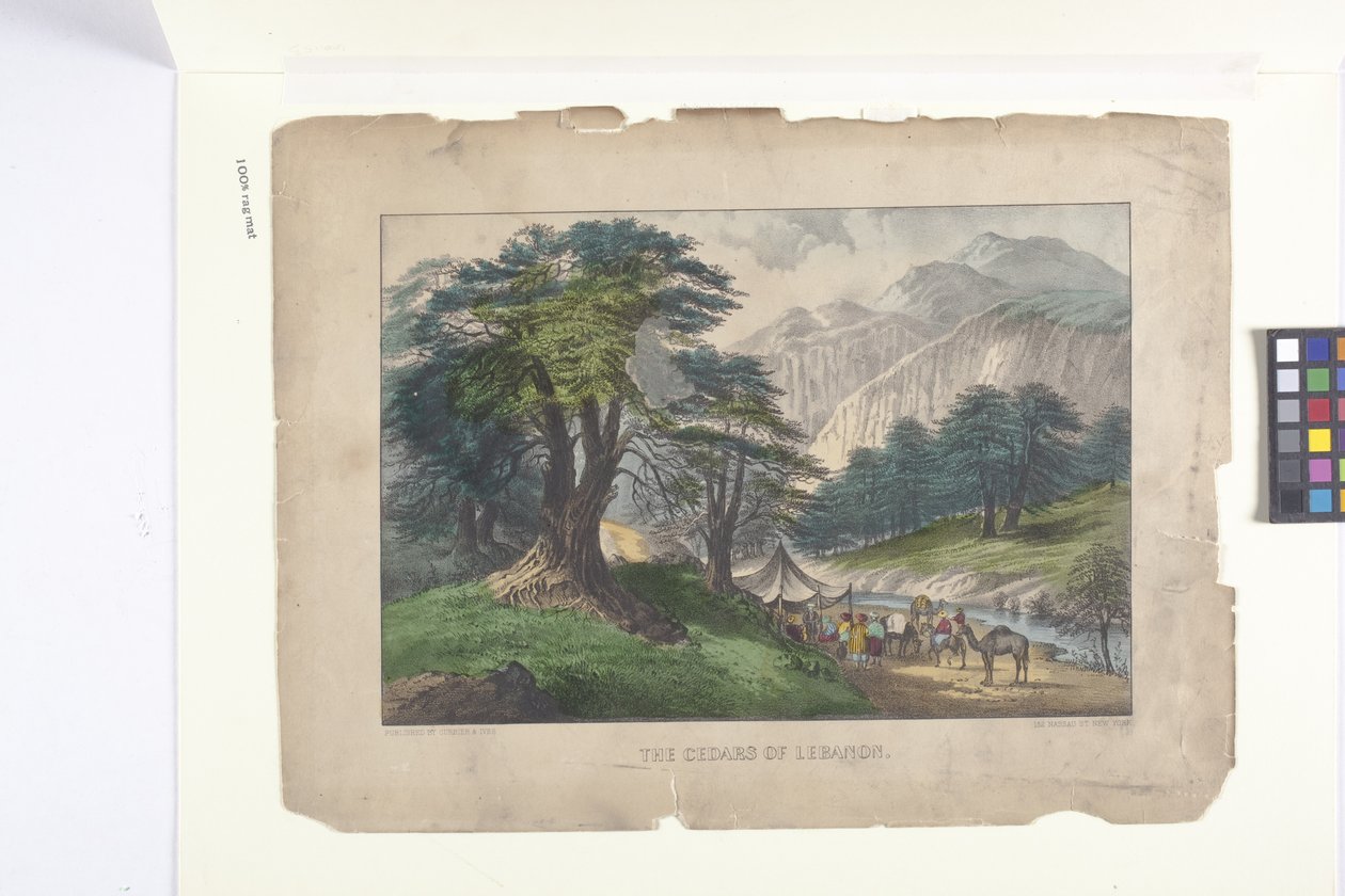 The Cedars of Libanon (handfärgad litografi) av N. and Ives J.M. (1824 95) Currier
