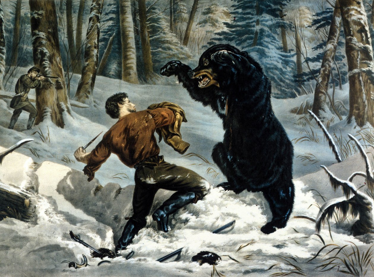 The Life of Trappers (Professional Hunters) i Kanada: En jägare attackeras av en Grizzlybjörn. Illustration av Yves och Currier. av Currier and Ives