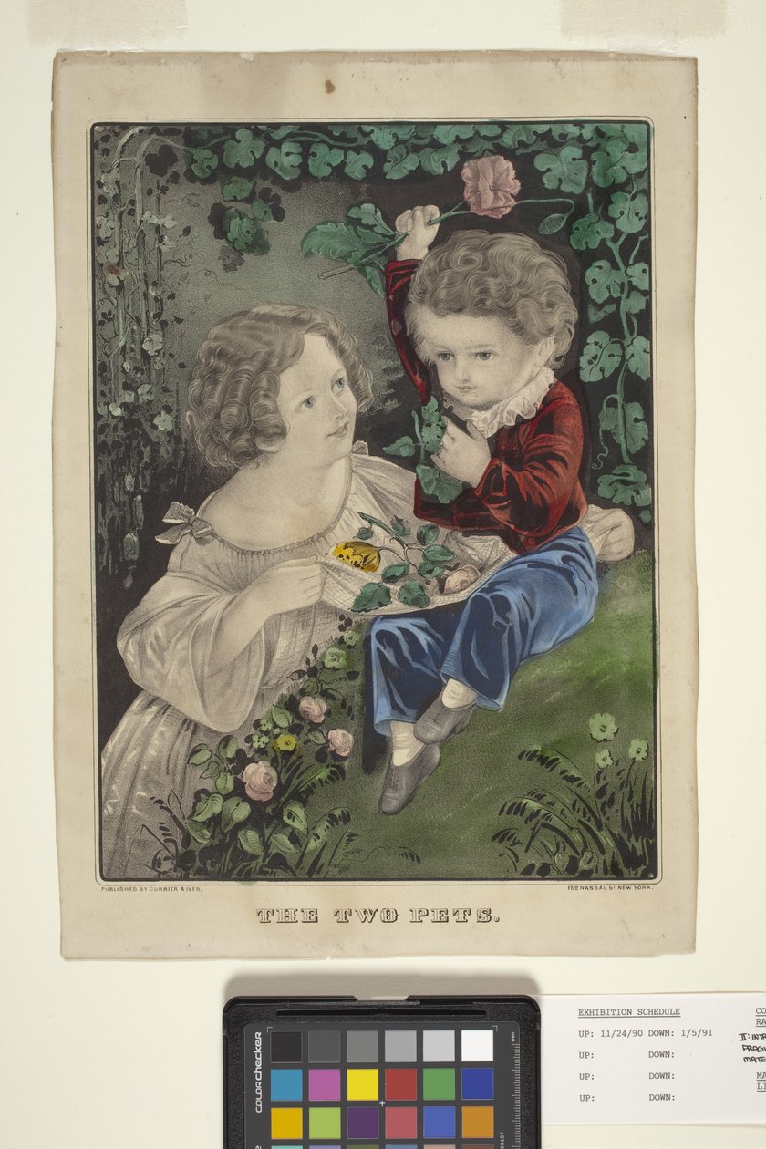 De två husdjuren (handfärgad litografi) av N. and Ives J.M. (1824 95) Currier