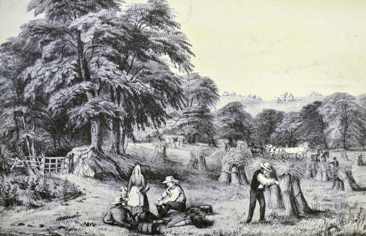 Currier & Ives Illustration 1800-talet. Skörda av N. and Ives, J.M. Currier