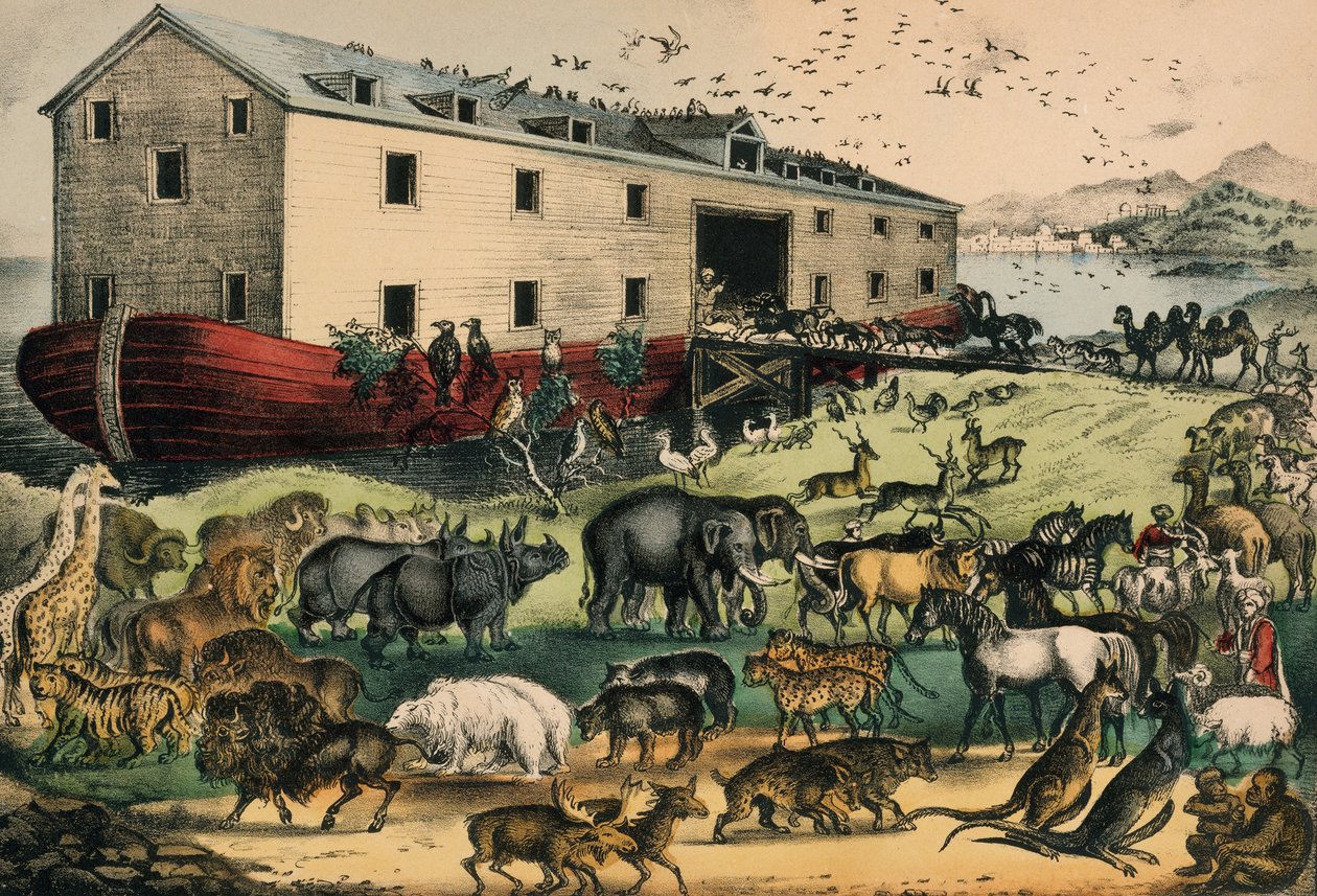 Noahs Ark, 1874–78 (handfärgad litografi) av N. and Ives, J.M. Currier