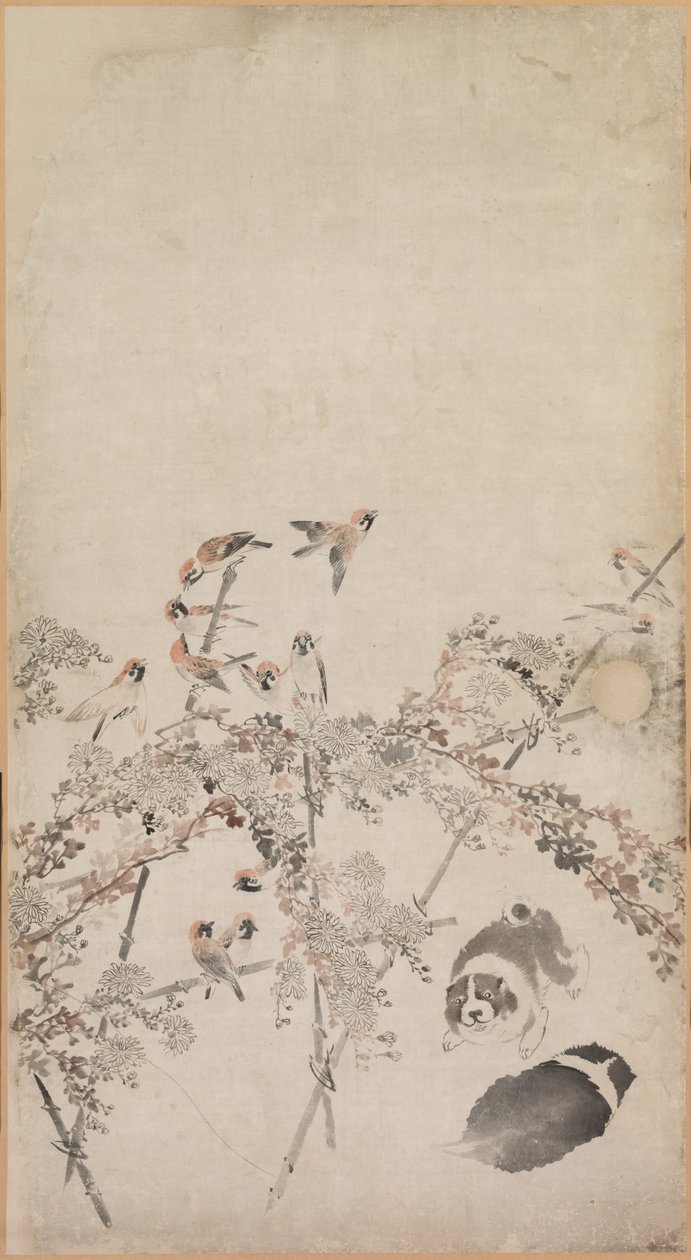 Valpar, sparvar och krysantemum, 1754-1799. av Nagasawa Rosetsu