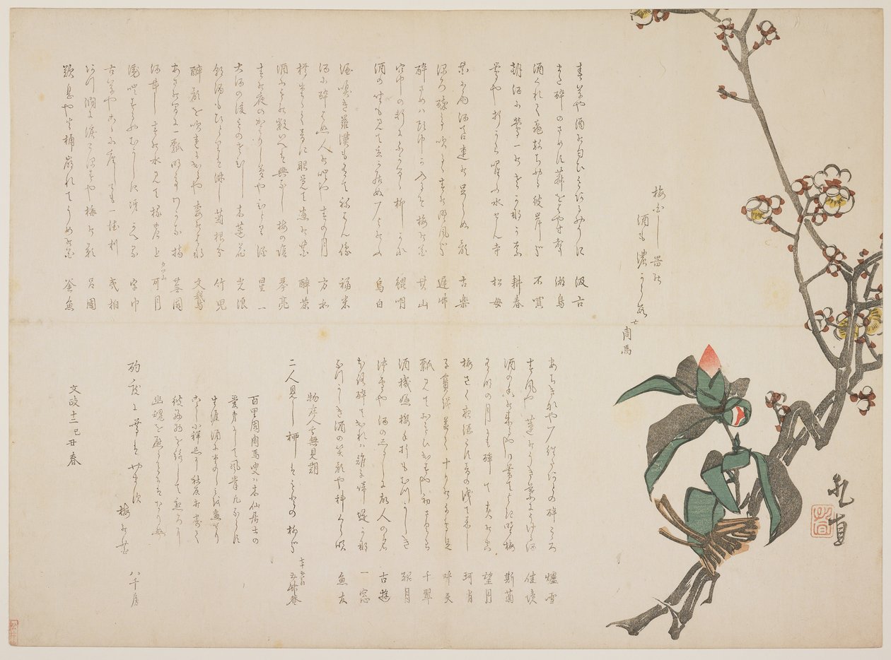 Plommon- och kameliagrenar, 1829 (trätryck i färg) av Nagayama Kchoku