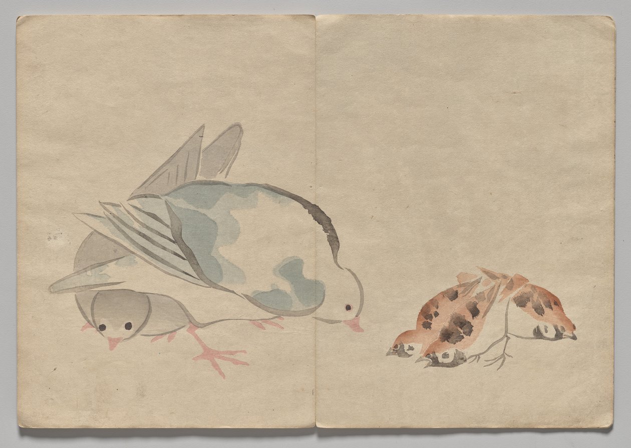 Scen från The Kōrin Picture Book (volym 1) av Nakamura Hochu