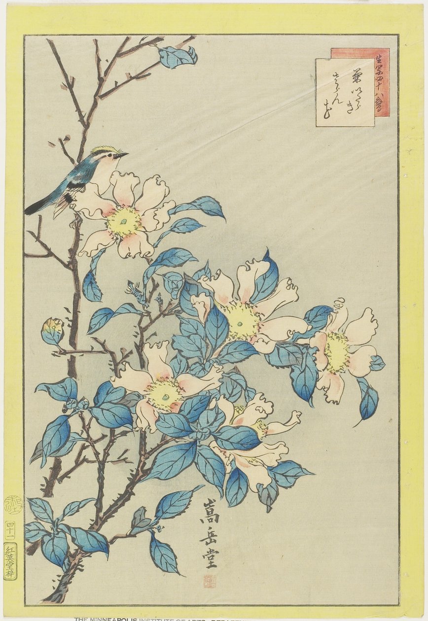 Blå fågel och rosa blommor, 1859 (träblock i färg) av Nakayama Sugakudo