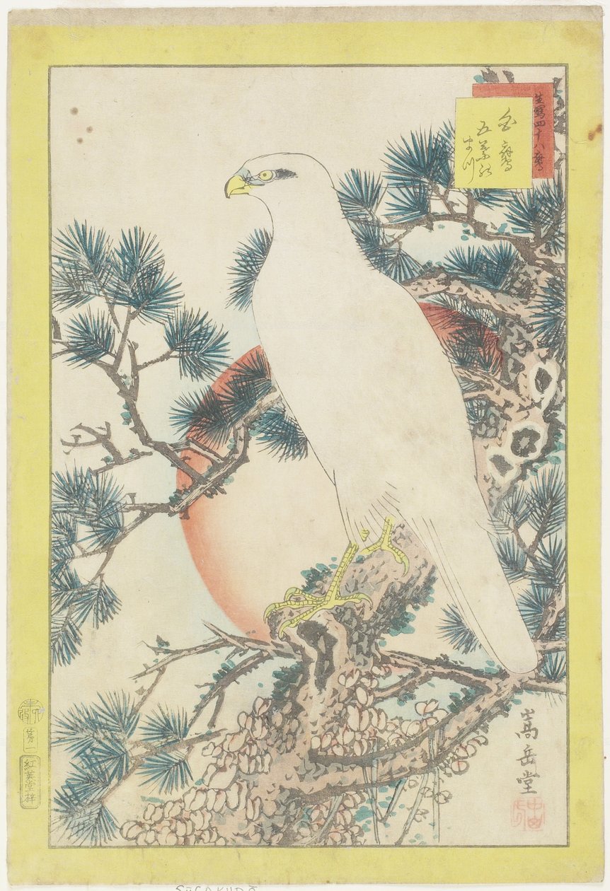 Nr 1, Vitfalk och femnålad furu, 1859 (trätryck i färg) av Nakayama Sugakudo