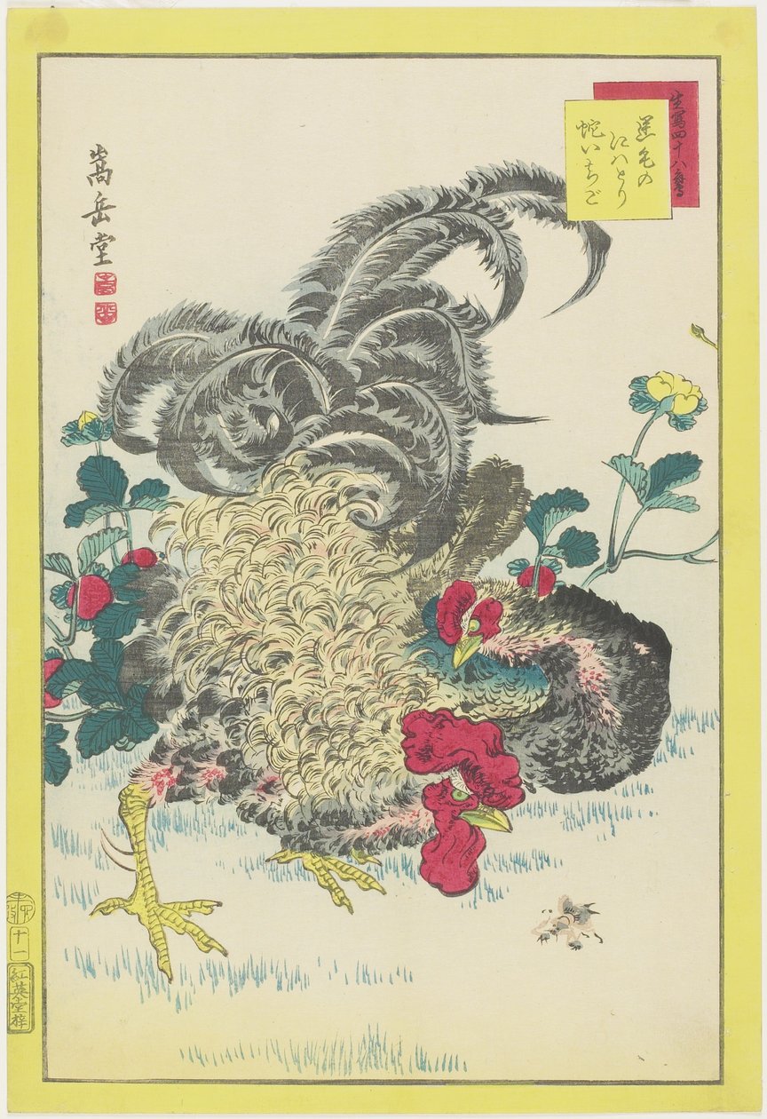 Tupp och hallon, juni 1859 (träblock i färg) av Nakayama Sugakudo