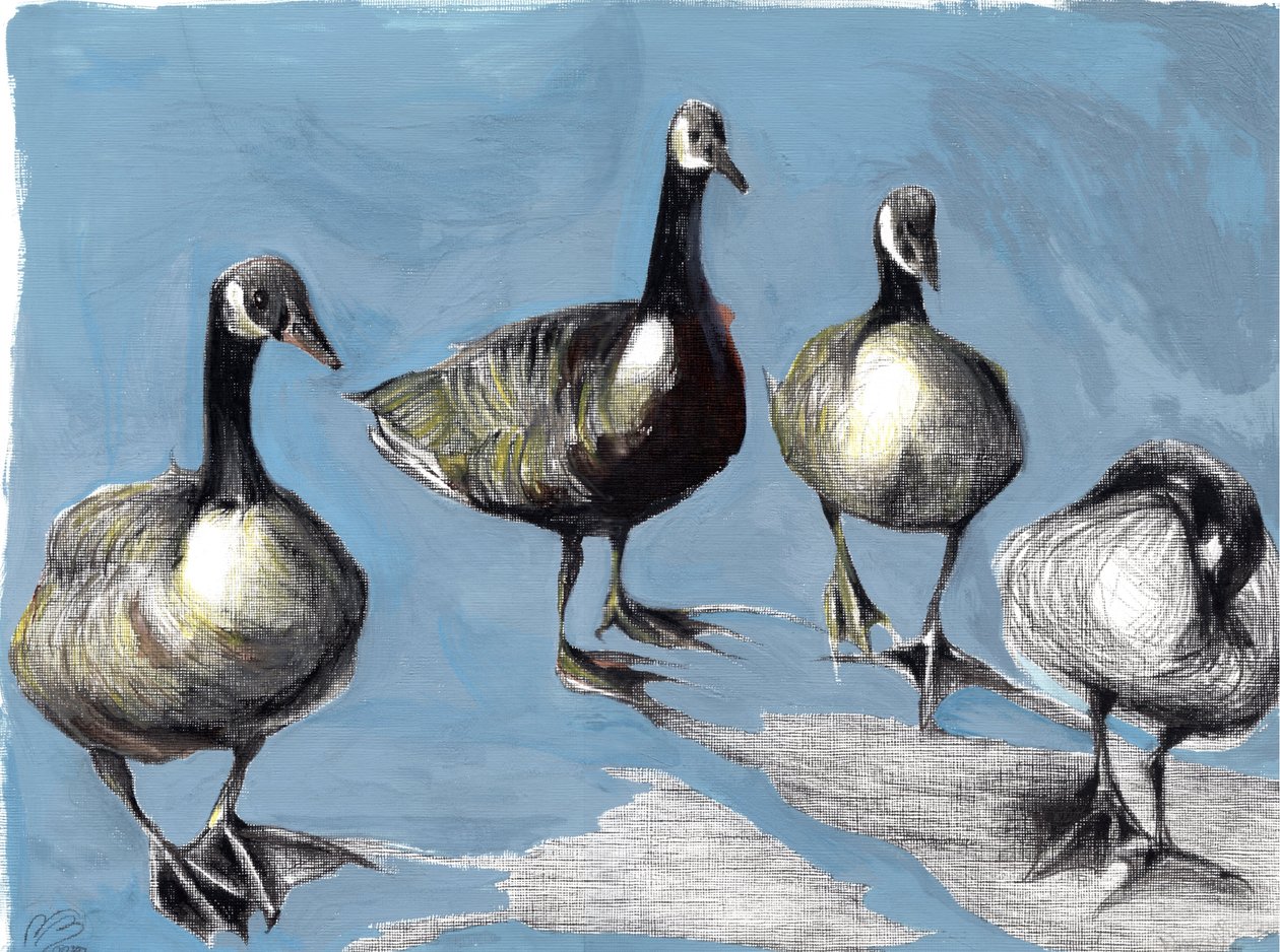 Friendly Canada Geese, 2012, (gouache och kol på papper) av Nancy Moniz Charalambous