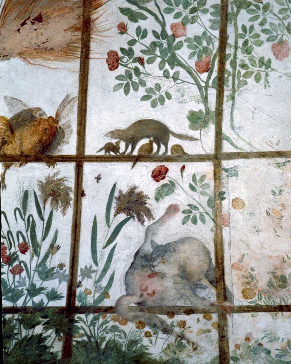 Förkammaren till Studiolo-studien av Francesco deMedici 1541-87 detalj av dekoration som visar djur i en trädgårdspergola, fresk från 1564-75 av Bartolomeo Ammannati