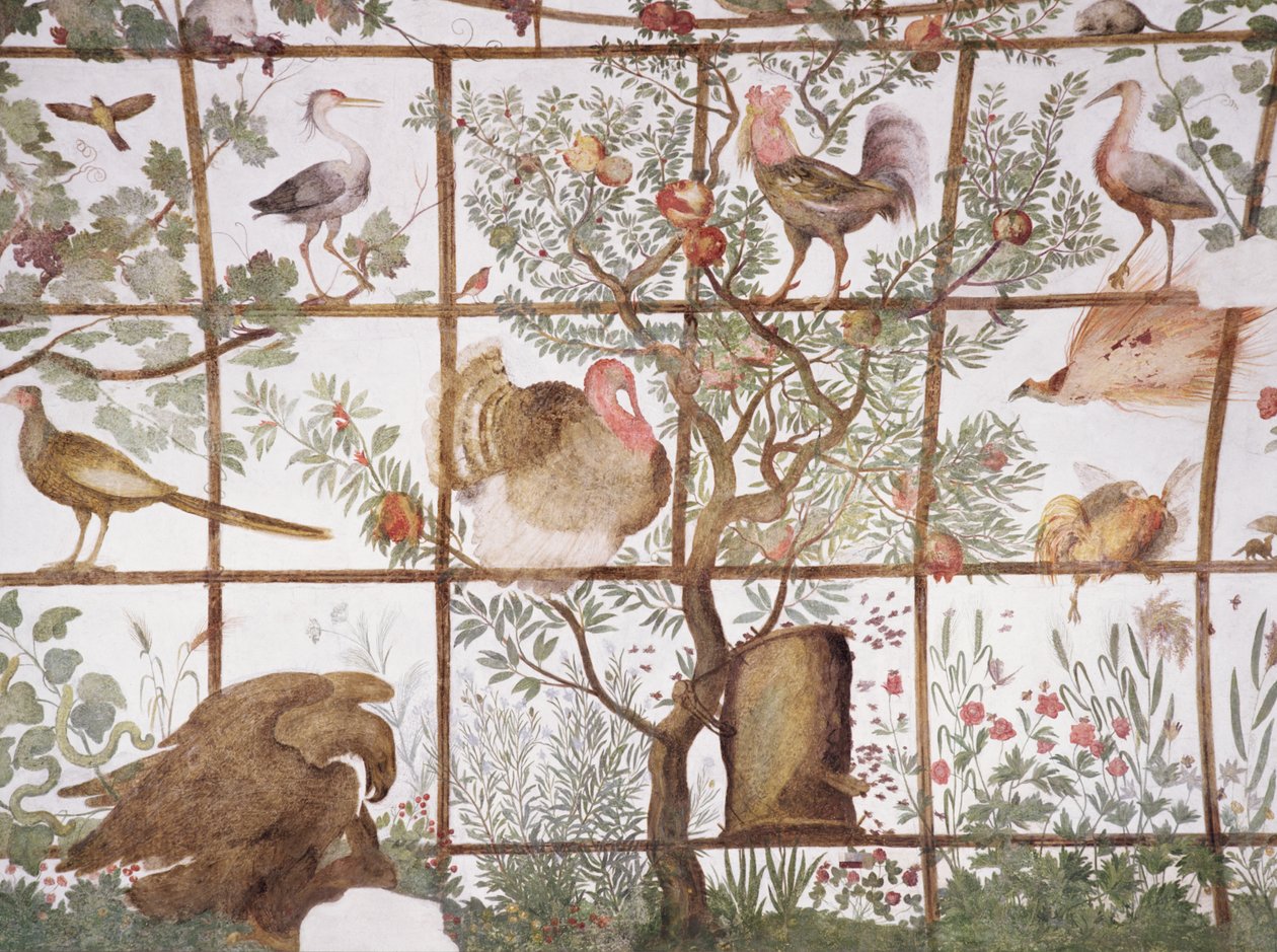 Forkammeret til Studiolo-studiet af Francesco deMedici 1541-87 detalje af dekoration af fugle i en havepergola, 1564-75 frescoswed av Bartolomeo Ammannati