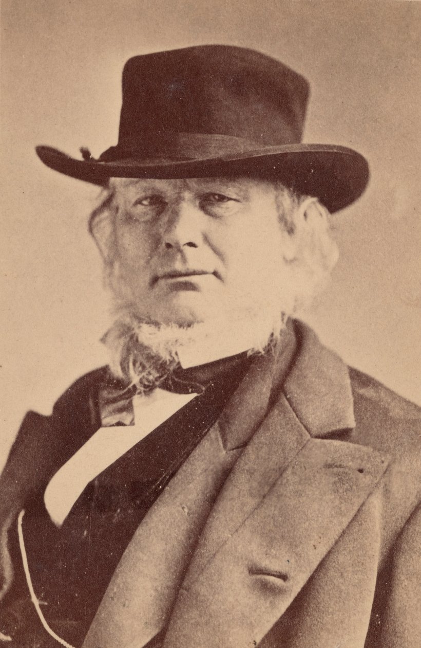 Porträtt av Horace Greeley 1811-1872, 1869. av Napoleon Sarony