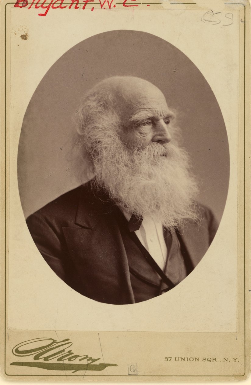 William Cullen Bryant av Napoleon Sarony